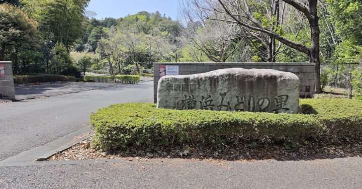 坂井泉水 墓地